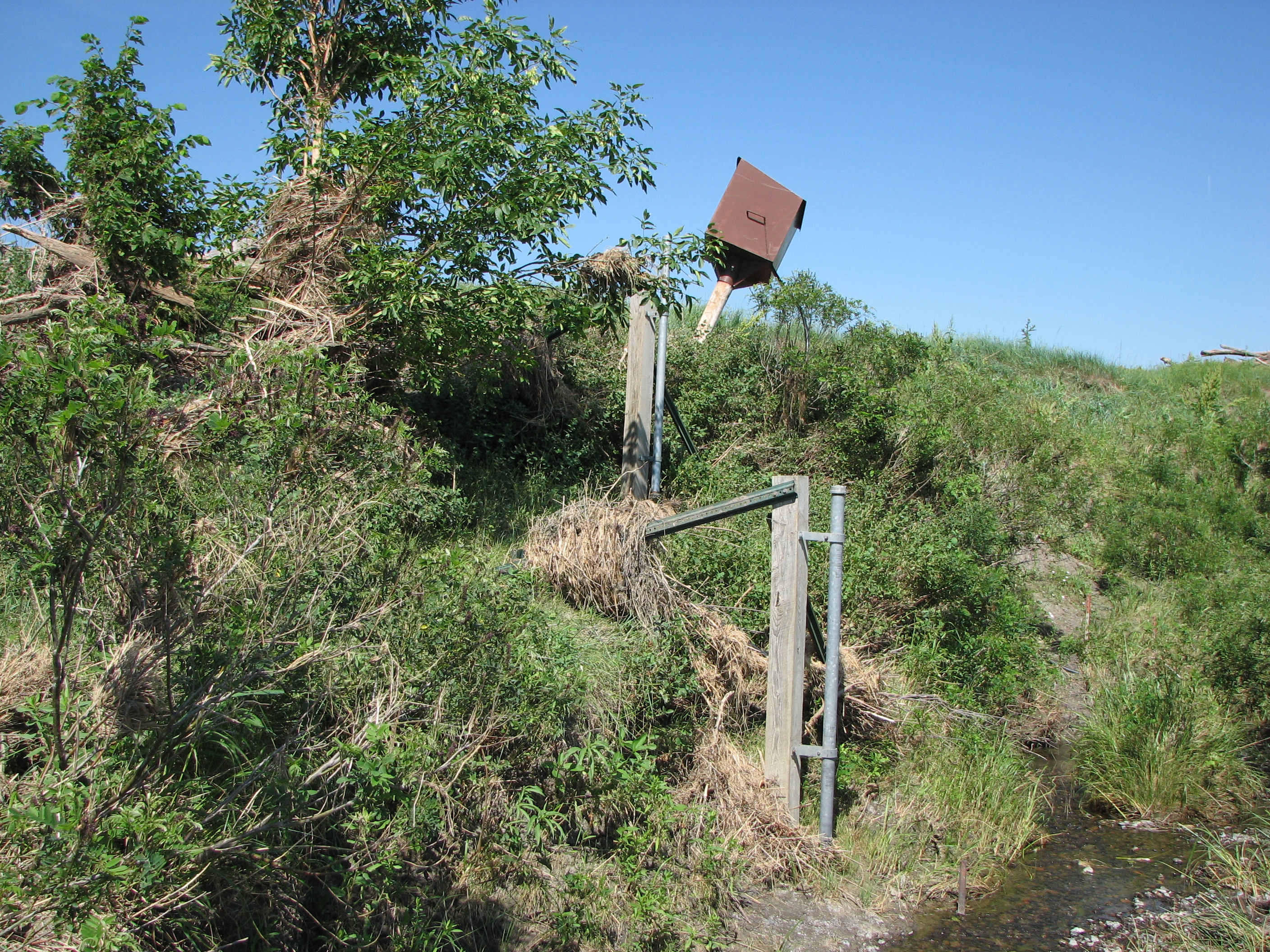 Stream gauging site